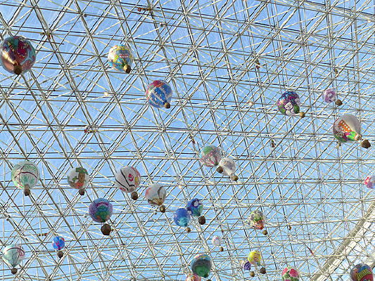 ����糡����