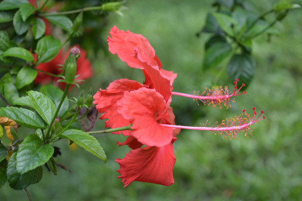 �����й����ϴ�컨