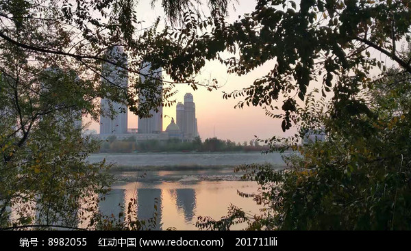 绿叶中的黄昏图片