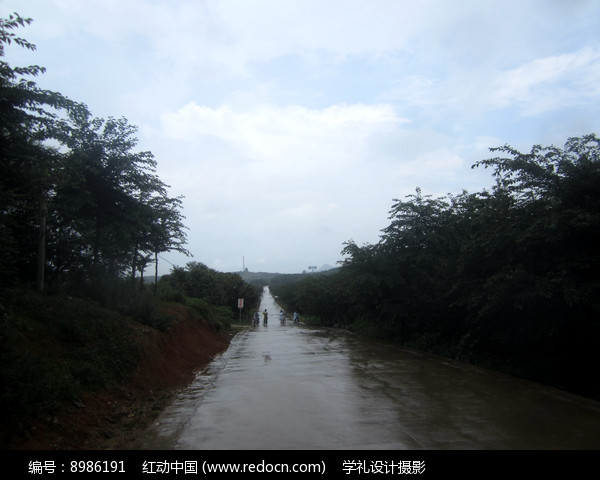 清镇农场道路图片