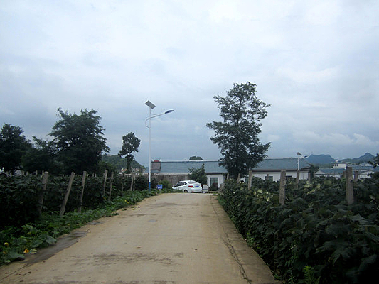 �����а�ũ����·