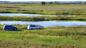 �ݵس��з��