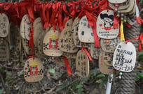 ��Ը���忨Ƭ