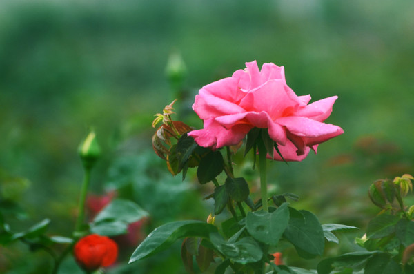 �¼���������дͼƬ