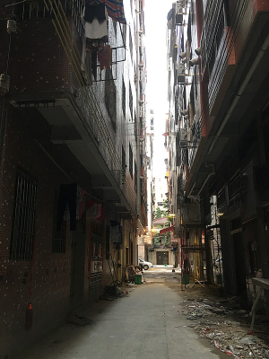 ����Ԫ�����סլ������