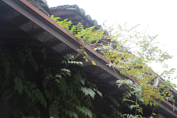 ���Ϸ���