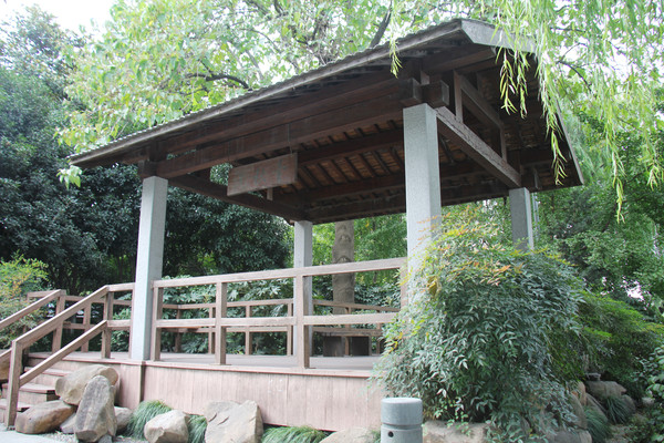 ������ͤ