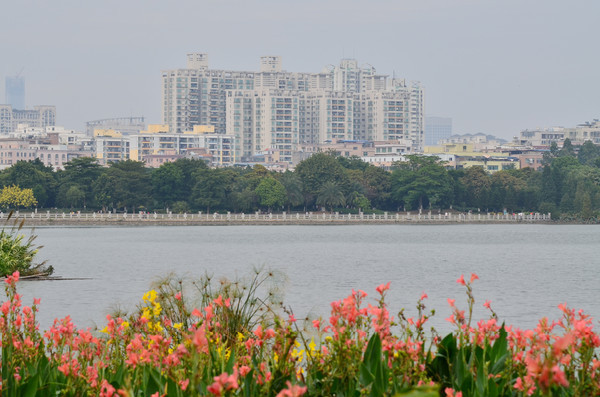 �ʻ�����