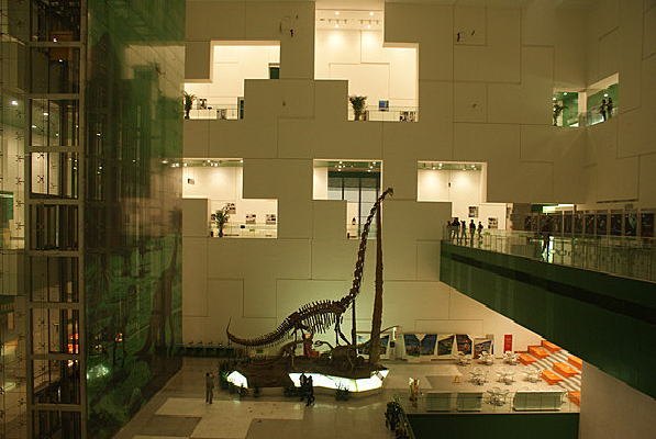 �Ƶ��������