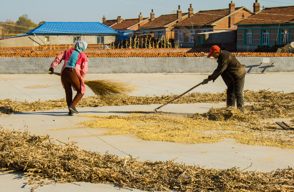 �񷿳�Ժ����