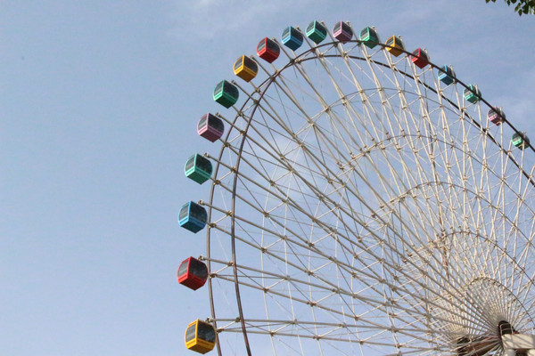 Ħ��������