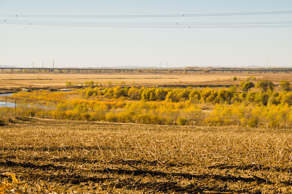 ũ���̲��ľ�߼���