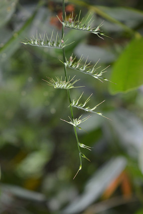 ��ϸ�����ײ�