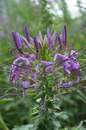 һ�ػ���������