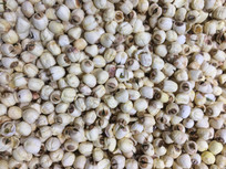 һ������