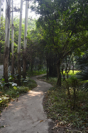 ��̩��԰������С·