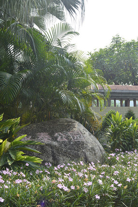 ��̩��԰԰��