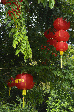 ��Ϫ��԰������ӳ�ĺ���� 