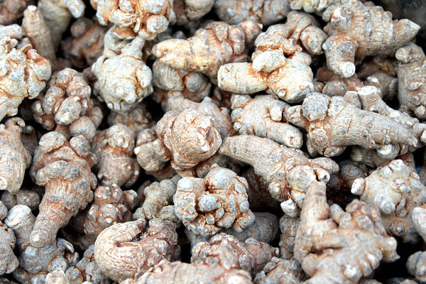 ����������ҩ��