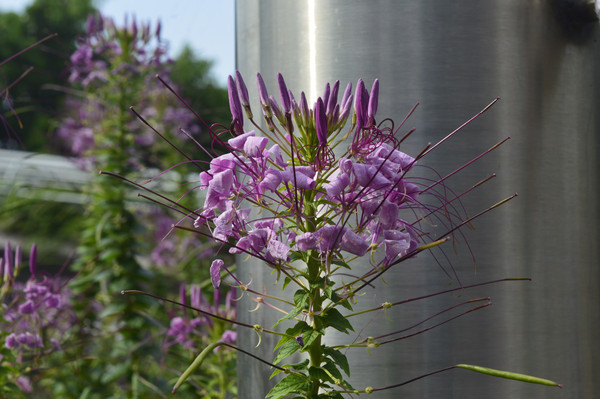 ����������