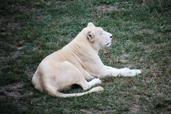 �׻����ϻ�
