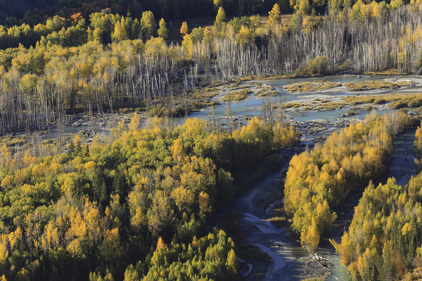 ������̲