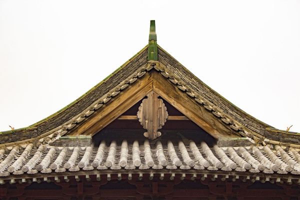 �Ž�������