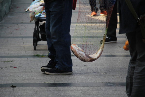 �����˺����㱻������