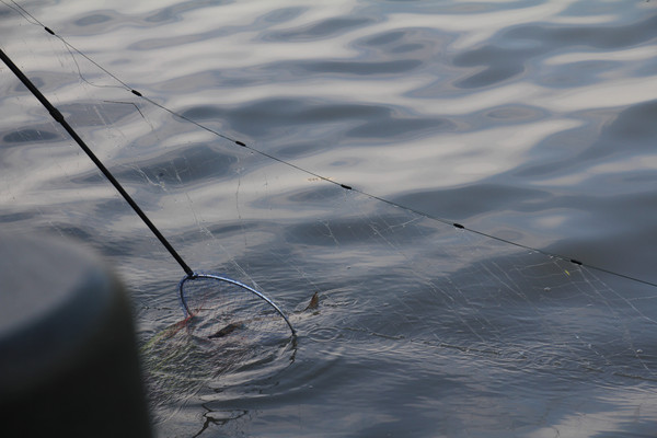 �����˺�������