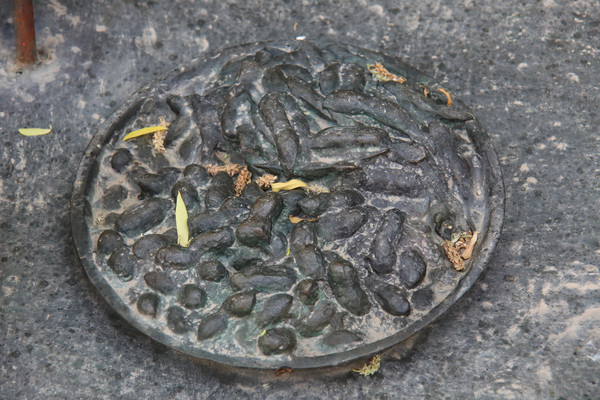 ������ͭ����