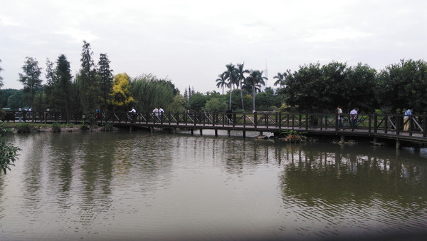 ����С�ŷ羰