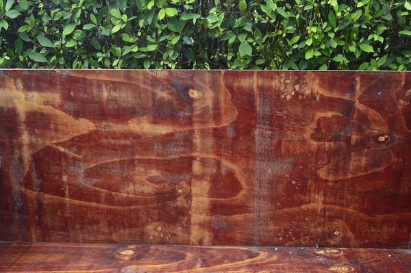 ľ��ľ��ͼƬ