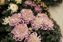 ��ˮ����