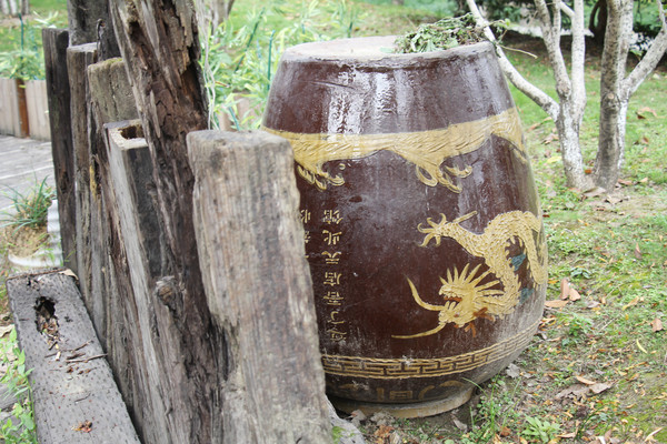 ��������Ҷ