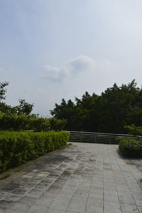 ����ŵ�·��ľ�̻�����