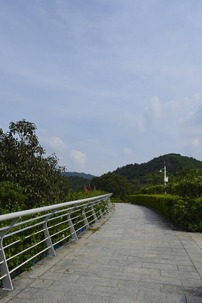 ���ŵ�·�̻�ֲ��