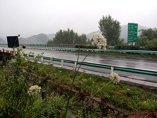 ����ĸ��ٹ�·