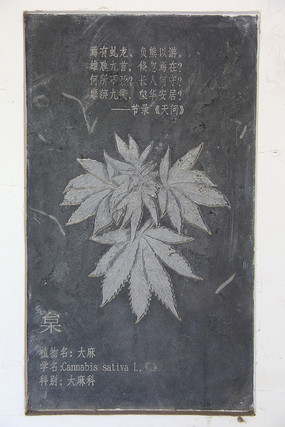 �ڿ���ҩ�Ĵ���