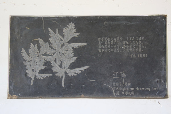 �ڿ���ҩ�Ľ�����