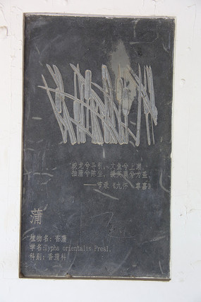 �ڿ���ҩ����