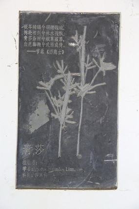 ڿҩɯ