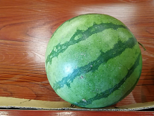 �����ϵ�����