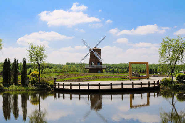 ˮ���糵��ľ��Ӱ