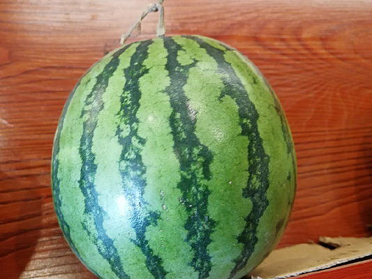 ԲԲ������