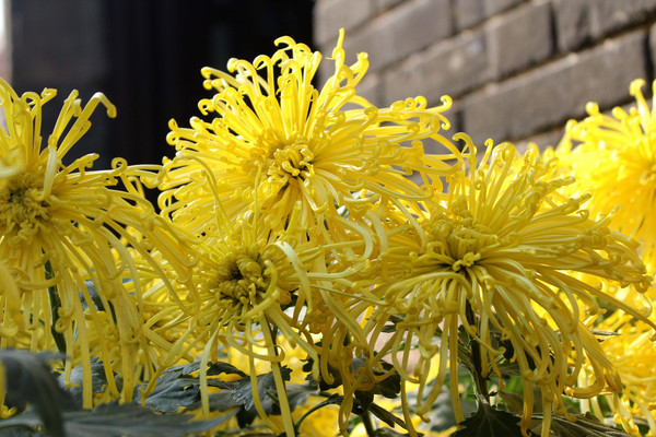 �ƾ�����