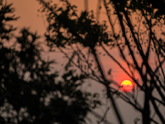 ������̫��