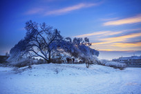 ������ϼ���Ұ���