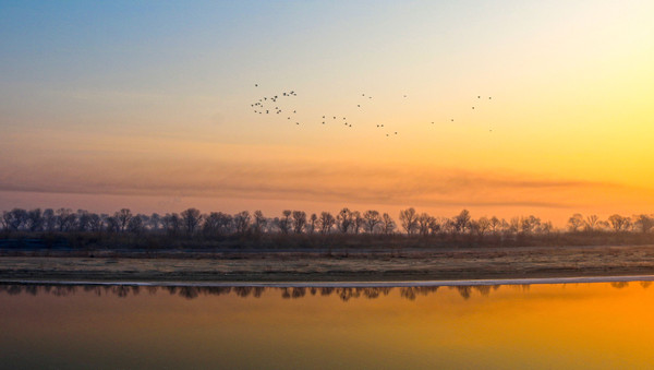 ������ľ��Ӱ