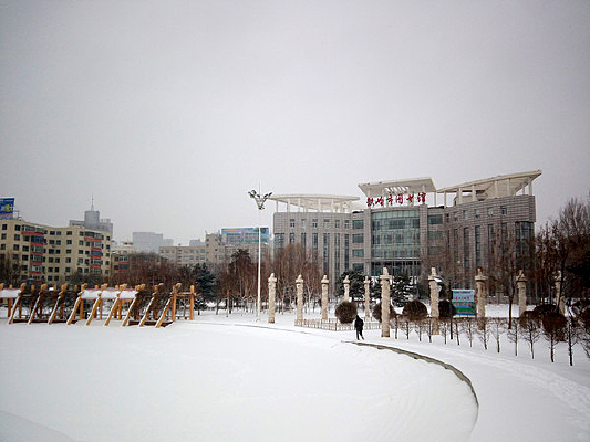 �㳡�ϵĻ�ѩ����·��