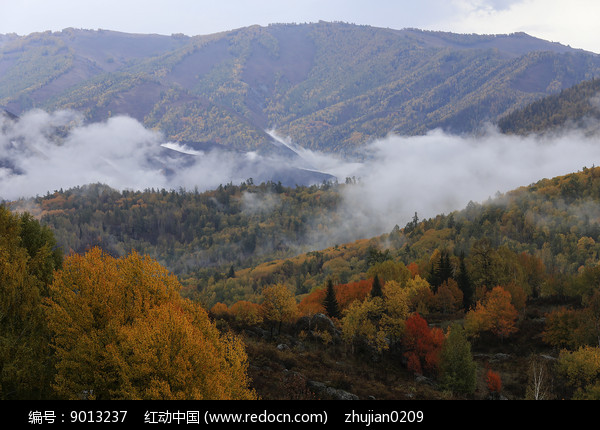 �������ƺ�ͼƬ